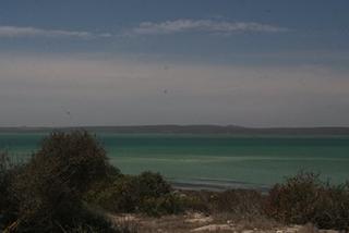 mnimg8667 langebaan 